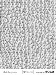 Фотофон fn 69