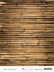 Фотофон fn 66