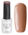 Гель-лак INDI laque, 9 мл № 3491