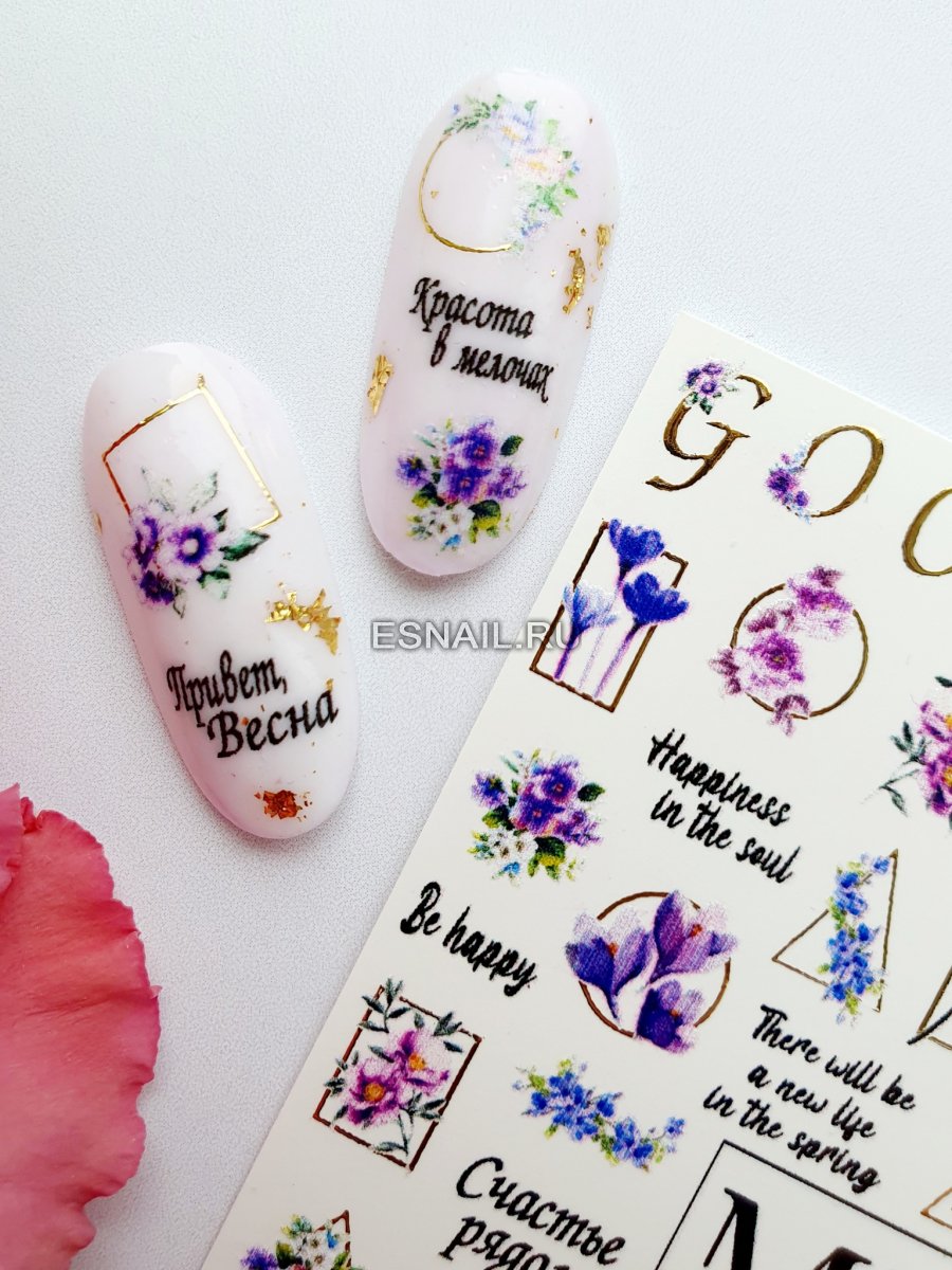 Слайдер дизайн MN F50