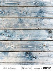 Фотофон fn 12