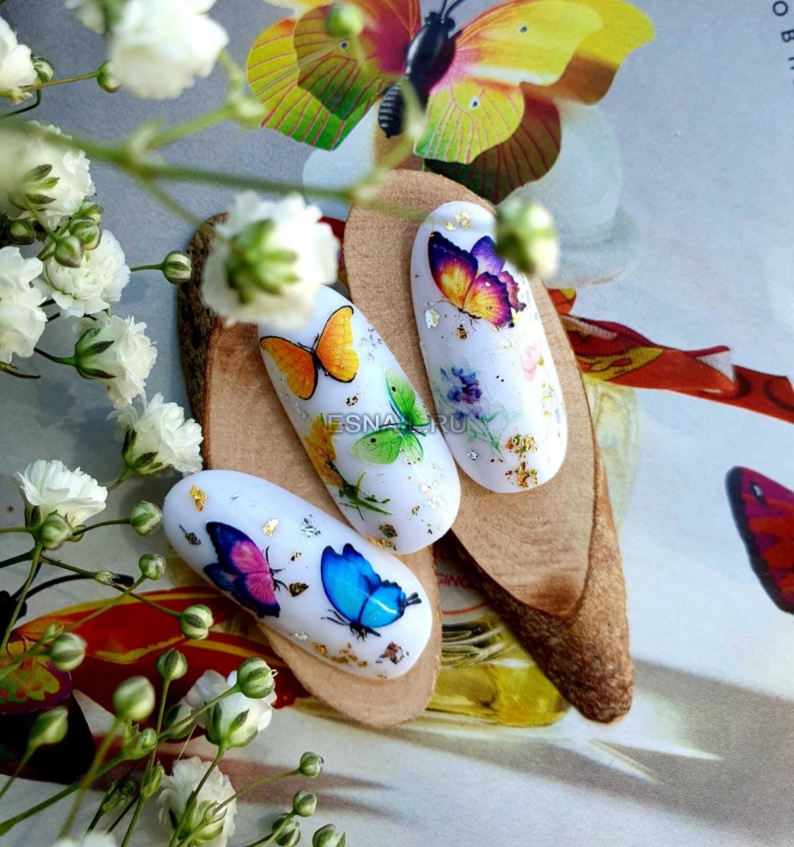 Слайдер дизайн MN W93