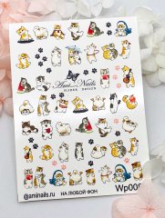 Слайдер дизайн wp0084