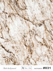 Фотофон fn 31